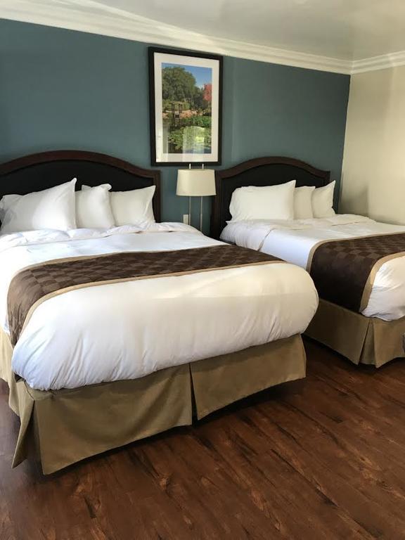 Rex Motel Ventura Dış mekan fotoğraf